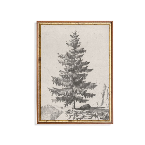 Vintage Sketch Drawing Antique Tree Rustic Print Wall Art Farmhouse Decor Fine Art Print Neutral Art
