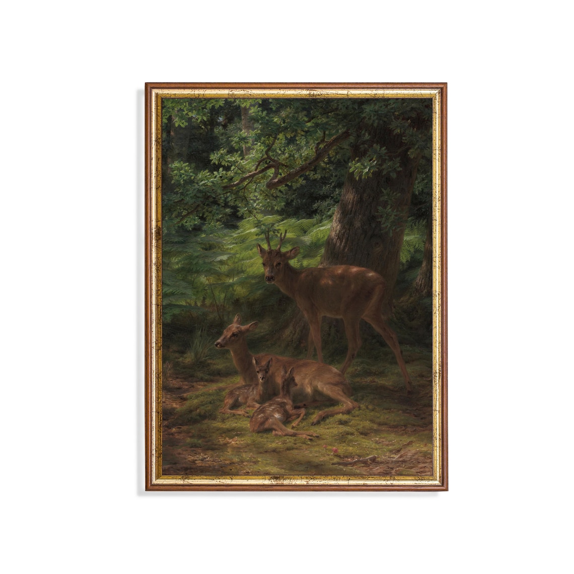 Deer Family Resting Beneath a Great Oak Vintage Forest Poster