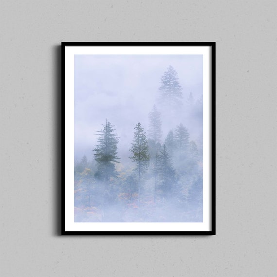 Forest Wall Art Fine Trees Photography Print Evergreen Misty Photo Foggy Landscape Nature Nordic Home Decor