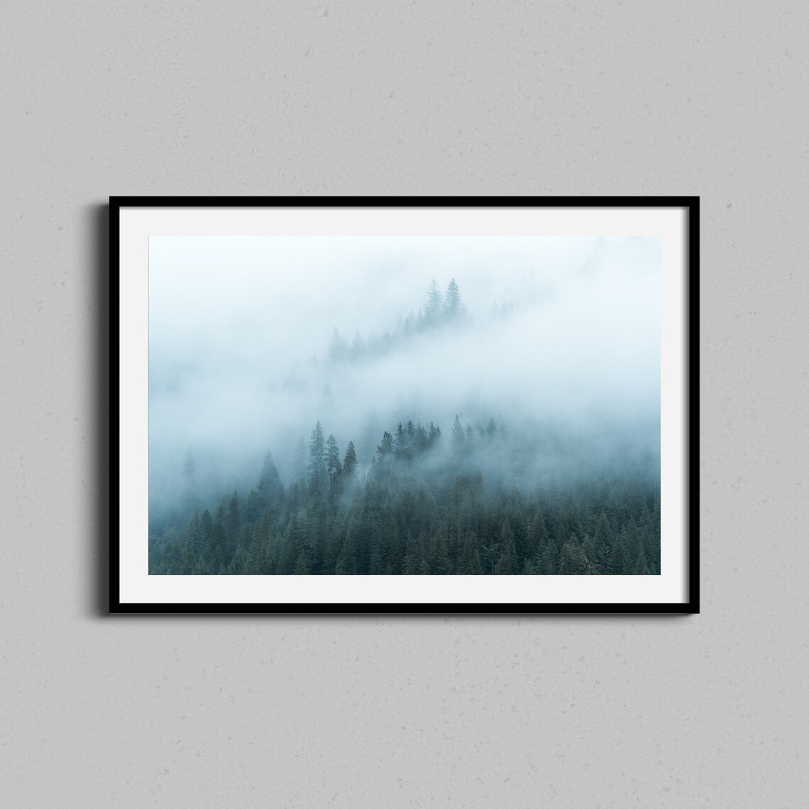 Redwood Forest Modern Wall Art Print, Foggy Landscape