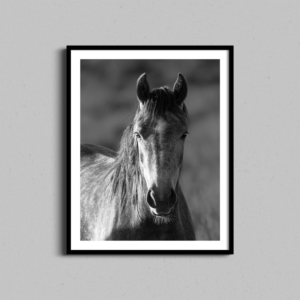 Black And White Wild Horse Portrait Photography Poster Rustic Ranch