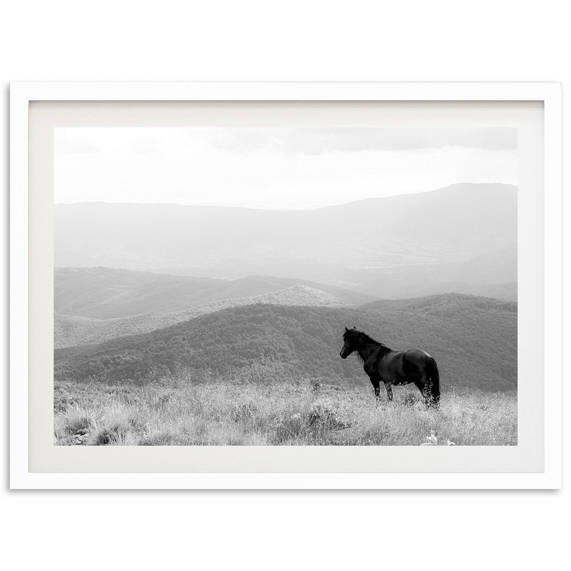 Wild Horse Mountain Meadow Black And White Fine Art Photography Poster