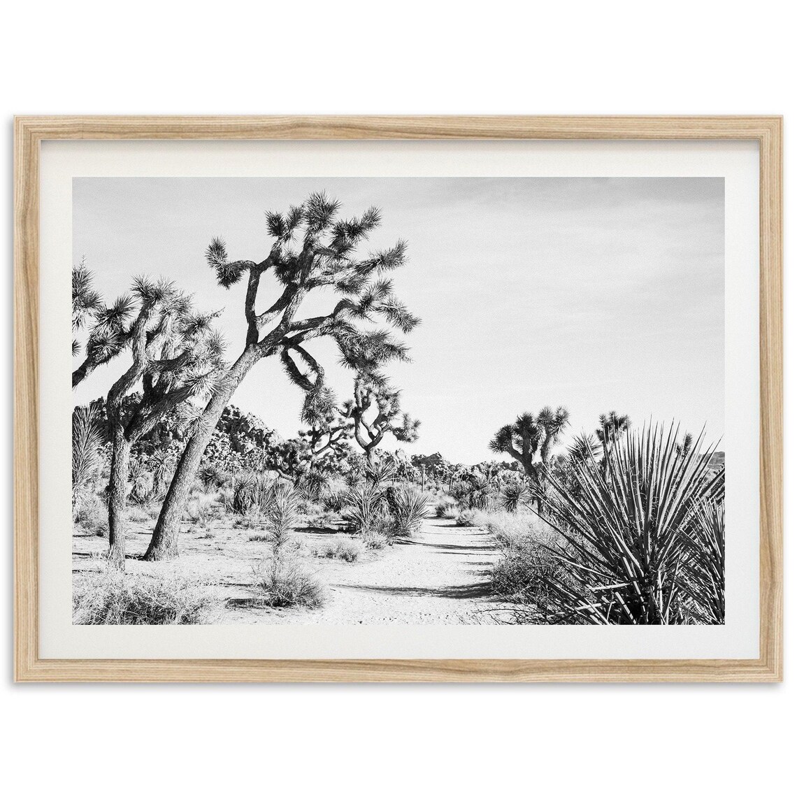 Joshua Tree Trail Art Print, Desert Landscape