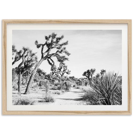 Joshua Tree Trail Art Print, Desert Landscape