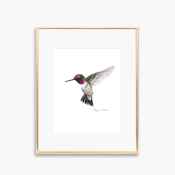 Hummingbird Watercolor Art Print, Whimsical Nursery Decor