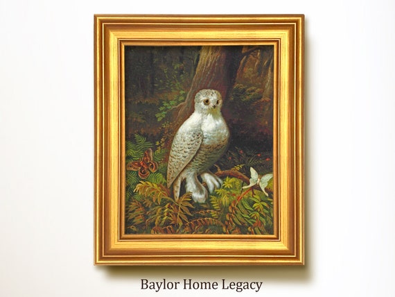 Framed Snowy Owl Oil Painting Print Vintage Rustic Country Bird Art Print Luna Moth Atlas Moth With Snowy Owl In Wooded Landscape