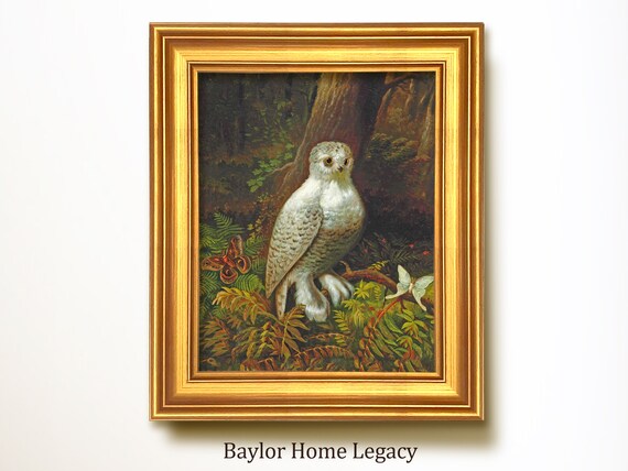 Snowy Owl With Moths In Dark Forest Vintage Bird Painting Art Print