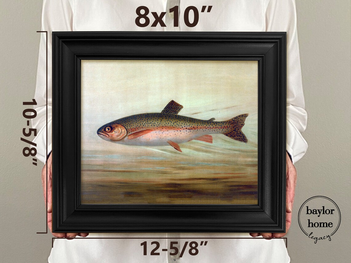 Rainbow Trout Swimming Vintage Fish Painting Nature Art Print Poster - Image 4