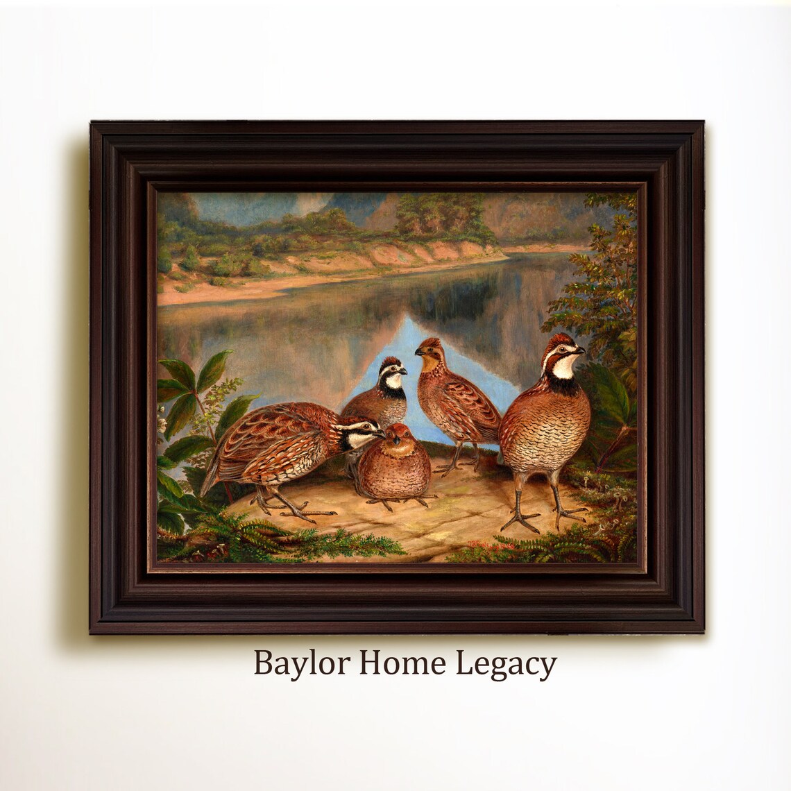 Bobwhite Quail River Landscape Oil Painting Art Print