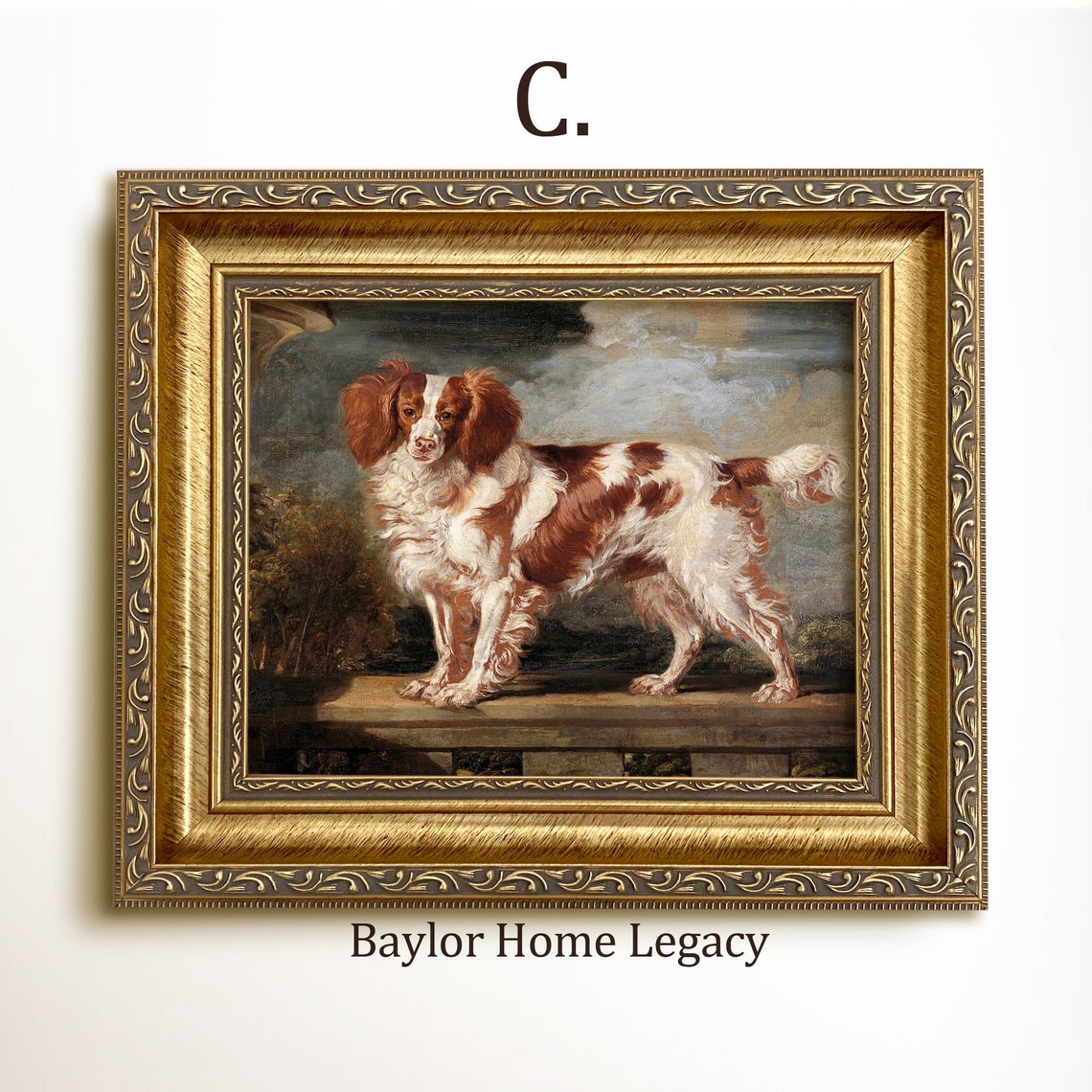 Cavalier King Charles Spaniel Standing Vintage Toy Dog Portrait Poster - Image 3