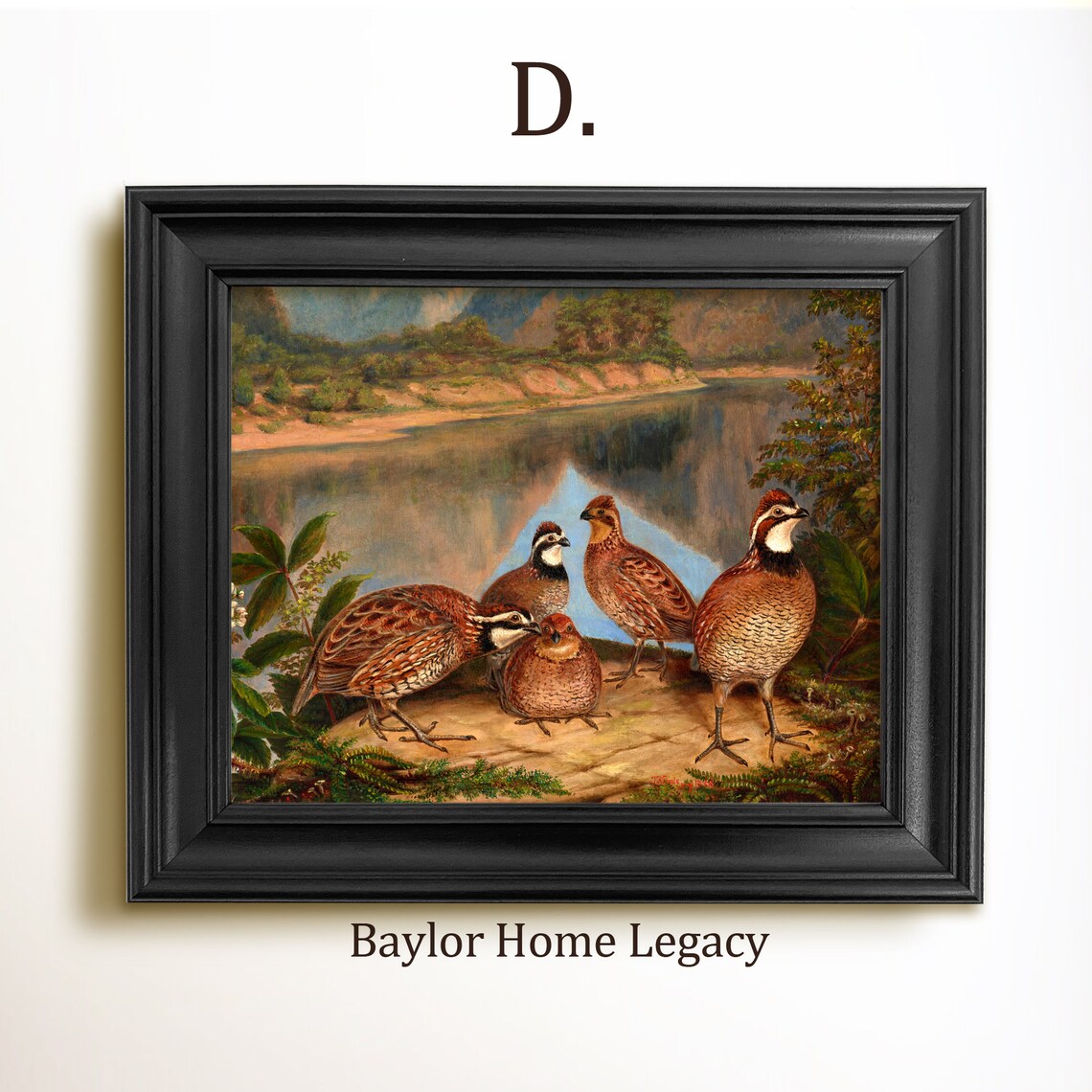 Bobwhite Quail River Landscape Oil Painting Art Print - Image 2