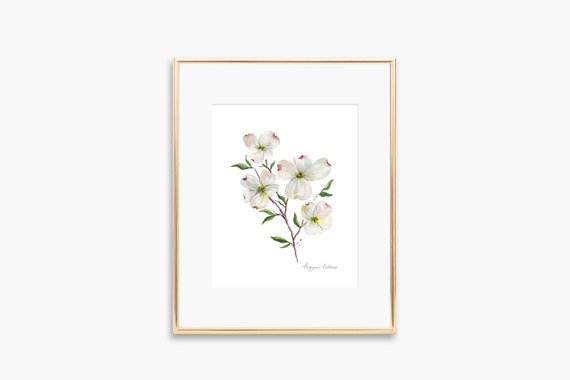 Dogwood Watercolor Art Print, Floral Home Decor
