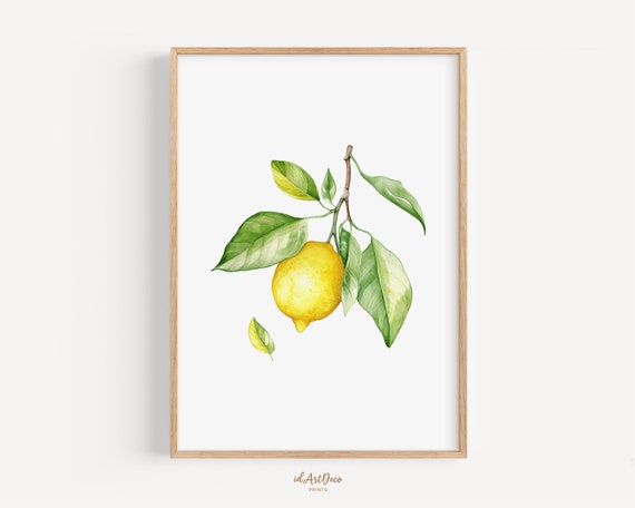 Watercolor Lemon Prints Lemon Kitchen Decor Kitchen Wall Art Yellow Wall Art Farmhouse Kitchen Decor Watercolor Fruit Print