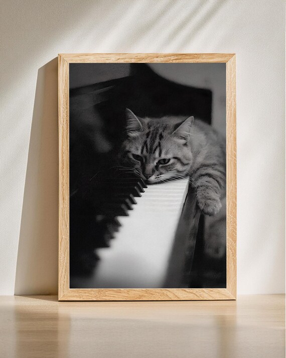 Tabby Cat Resting On Piano Keys Black And White Art Photo Print
