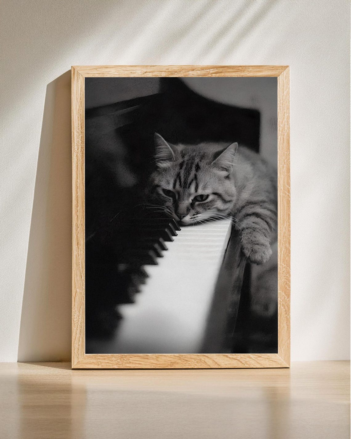 Tabby Cat Resting On Piano Keys Black And White Art Photo Print