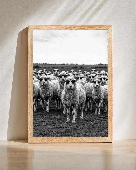 Funny Sheep Poster Cool In Sunglasses Black And White Animal Print Farmhouse Wall Art Humorous