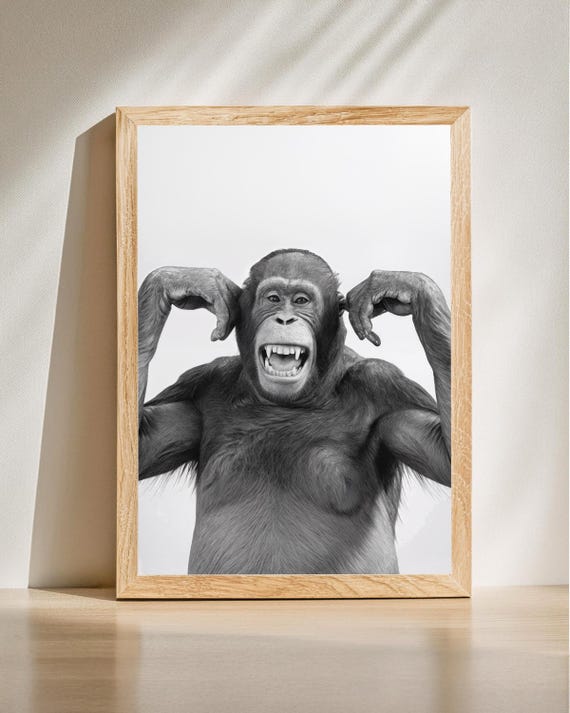 Funny Monkey Wall Art Cheeky Chimp Poster Playful Animal Print Office Humor Artwork Unique Gift For Him Or Her