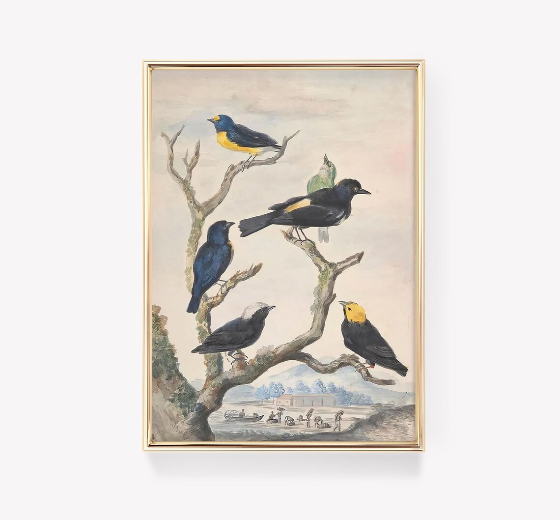 Shaikh Zain Uddin Birds Vintage Poster Print