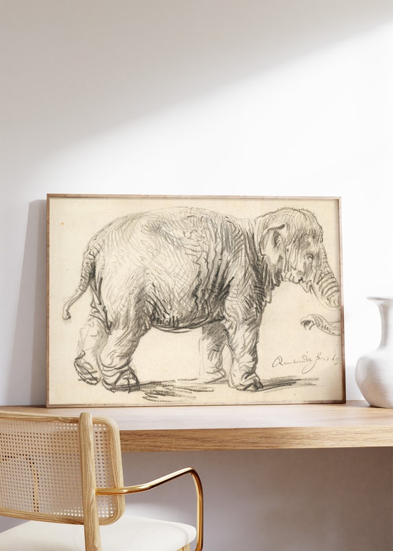 Rembrandt An Elephant 1637 Art Print