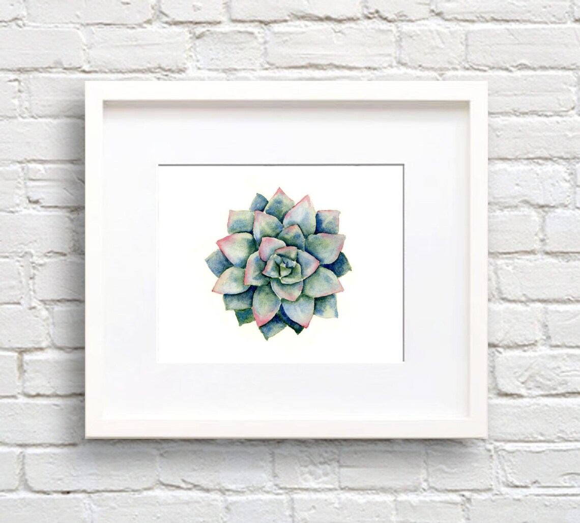 Succulent Watercolor Plant Art Print, Botanical Decor