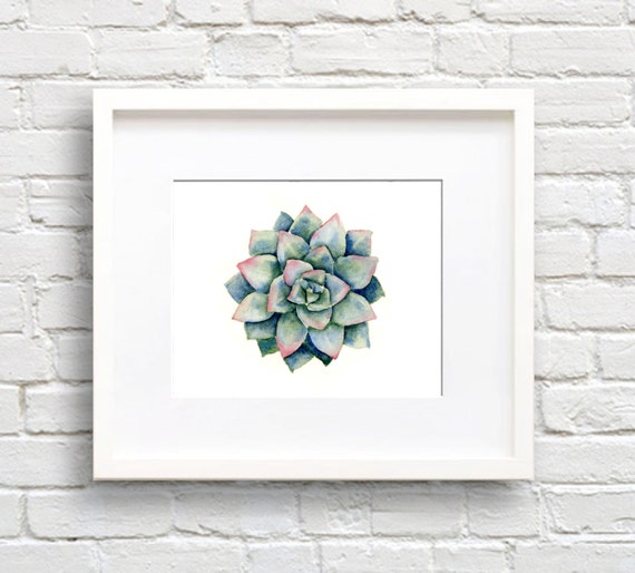 Succulent Watercolor Plant Art Print, Botanical Decor