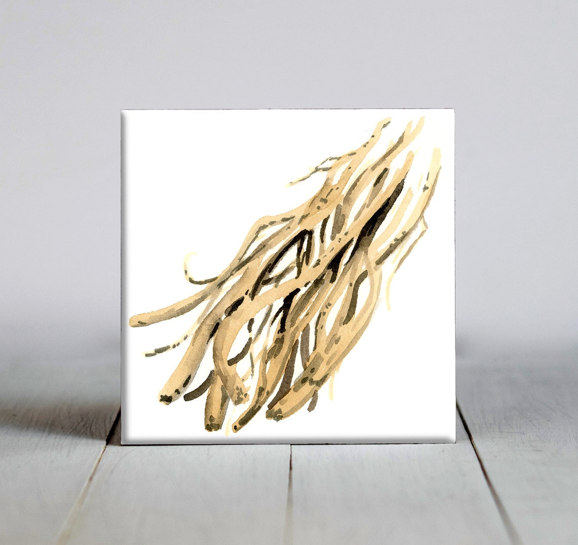Spreading Dried Herbal Roots Watercolor Botanical Study Tile Poster
