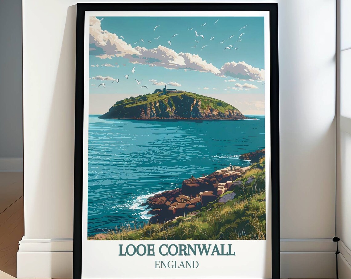 Looe Island Seabirds and Coastline Cornwall England Travel Poster