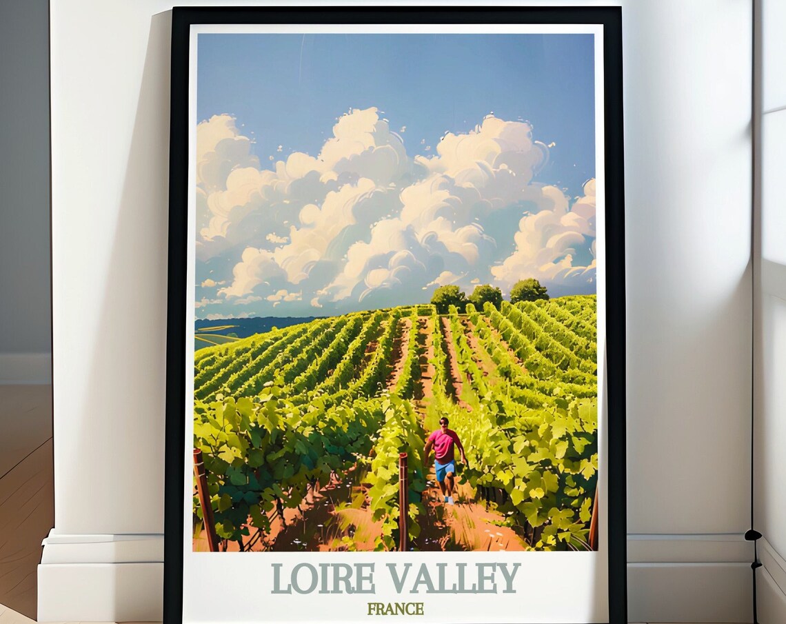 Loire Valley France Sunlit Vineyard Hills Summer Wine Poster