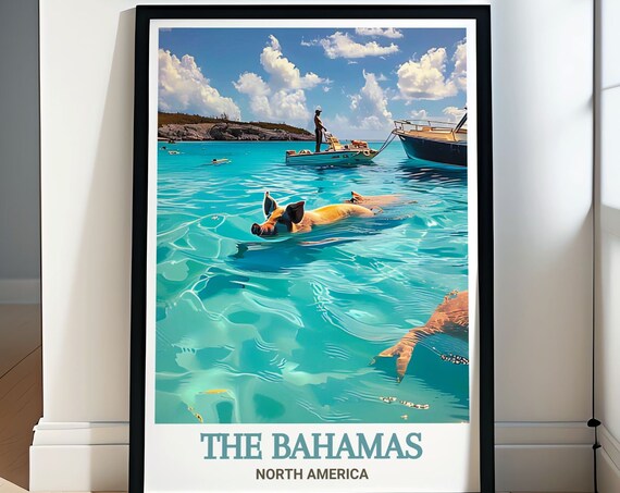 The Bahamas Swimming Pigs In Turquoise Exuma Waters Scene Poster