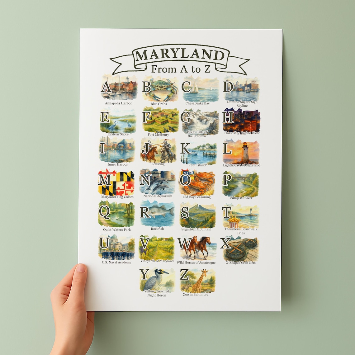 Maryland Alphabet Poster, State Symbols Travel Poster