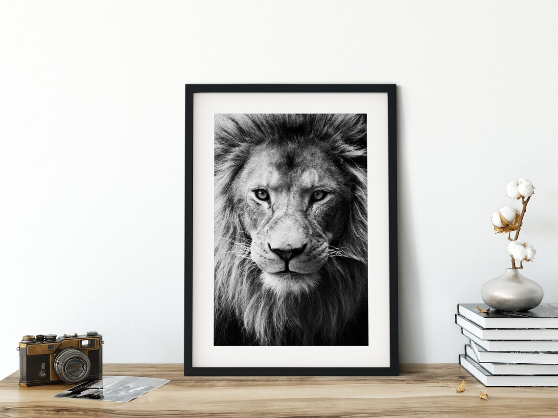 Lion Fine Art Photography, African Animals