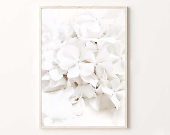 Neutral White Floral Blossom Art Print