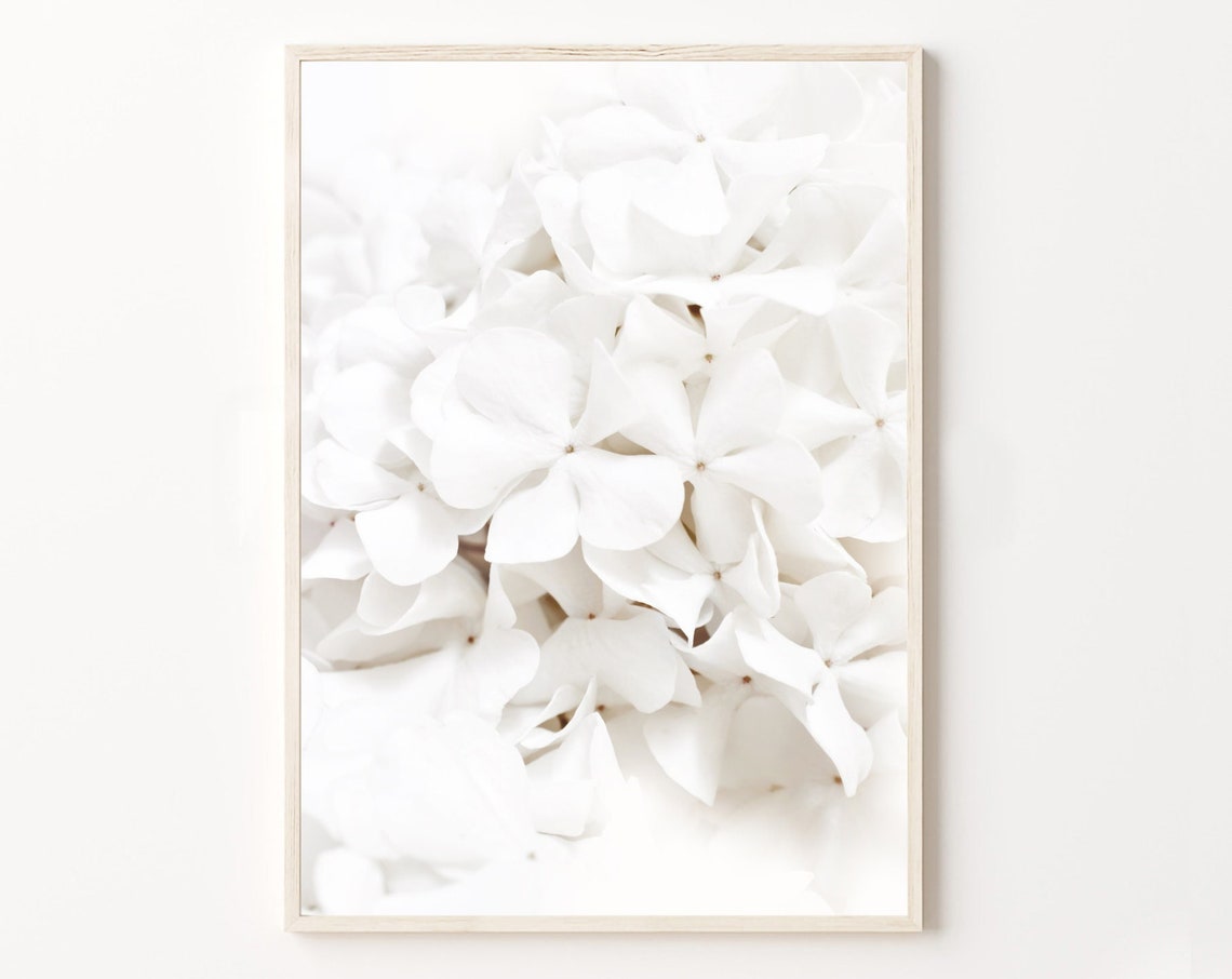 Neutral White Floral Blossom Art Print