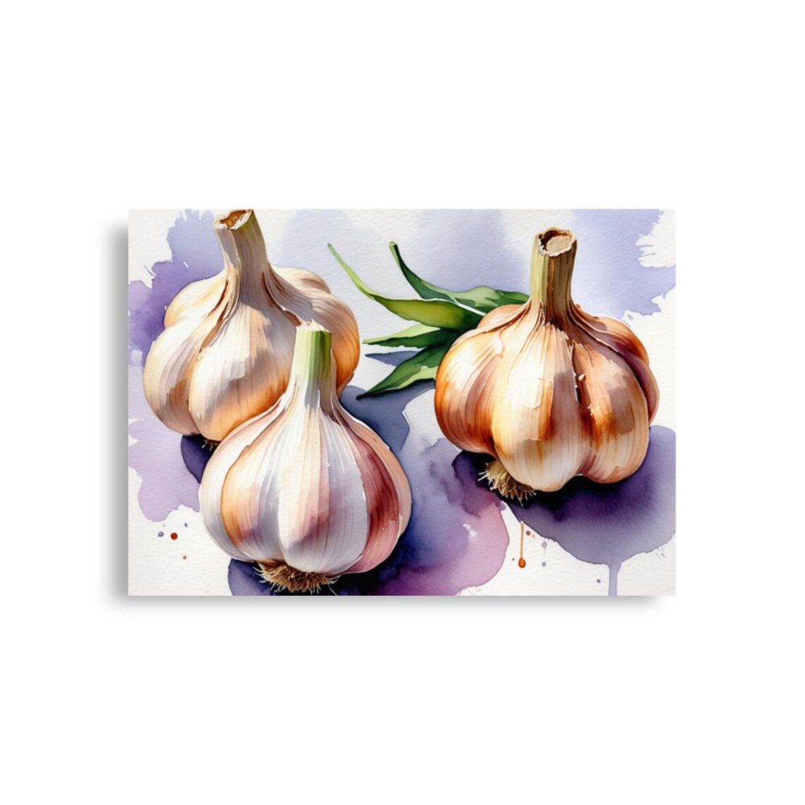 Three Garlic Bulbs With Purple Watercolor Wash Kitchen Poster - Image 3
