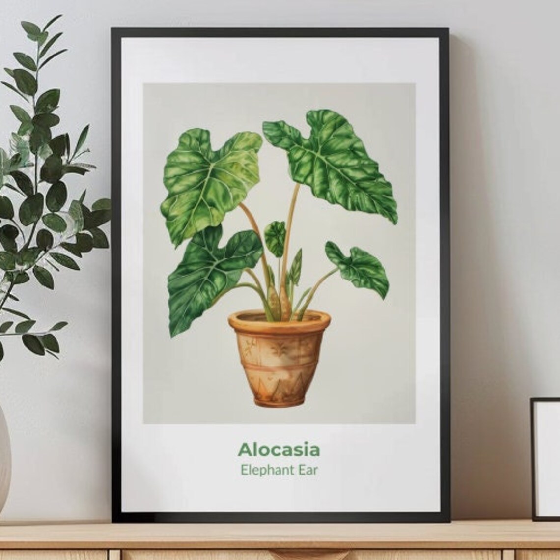 Alocasia Elephant Ear Potted Plant Watercolor Botanical Art Poster