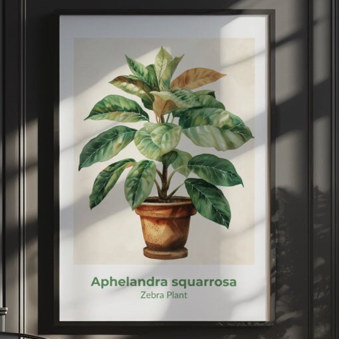 Zebra Plant Aphelandra Squarrosa Leaves Watercolor Botanical Poster