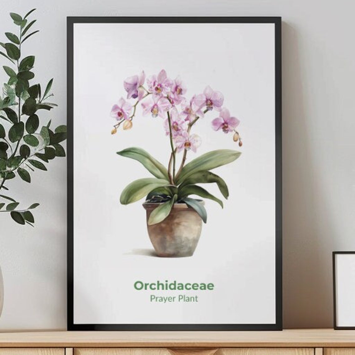 Elegant Pink Orchid Bloom Potted Watercolor Botanical Art Poster