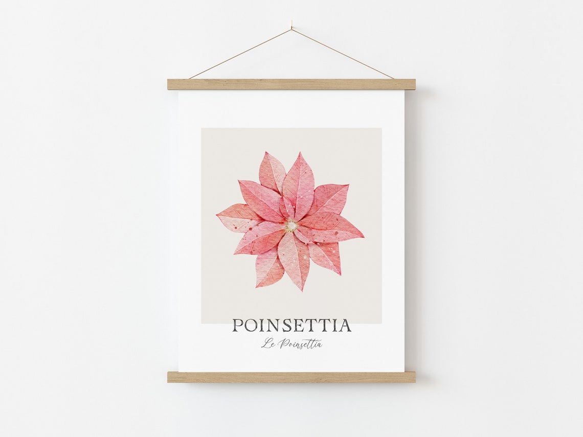 Watercolor Pink Poinsettia Botanical Print Christmas Flower Wall Art - Image 2