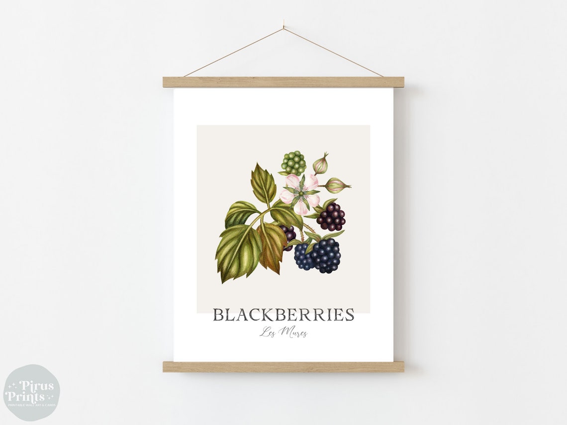 Watercolor Blackberries Botanical Print Minimal Berry Kitchen Wall Art - Image 3