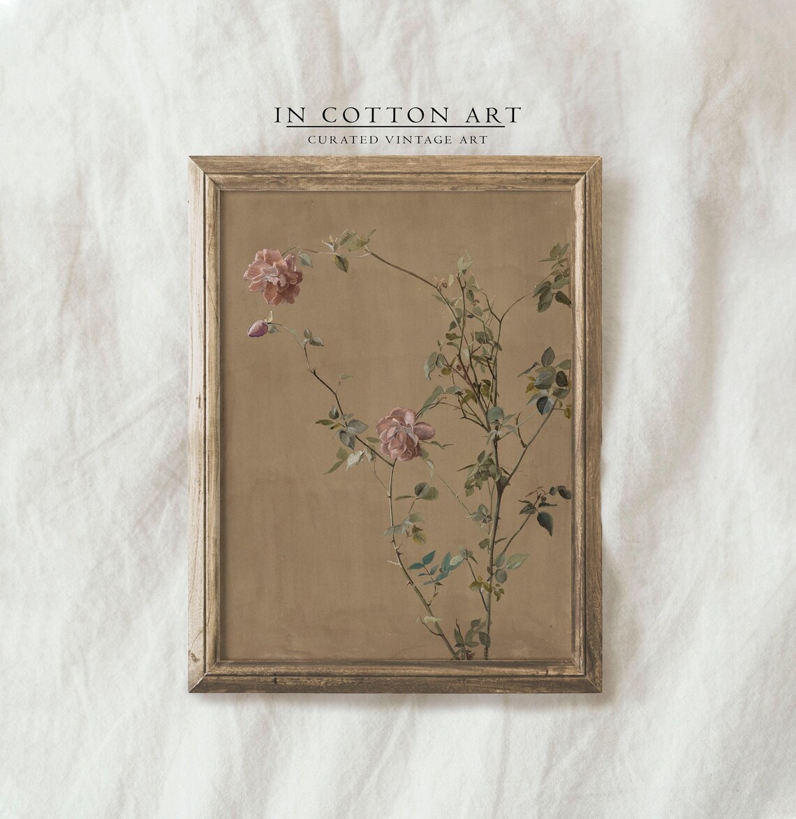 Vintage Botanical Rose Art Print, Rustic Farmhouse