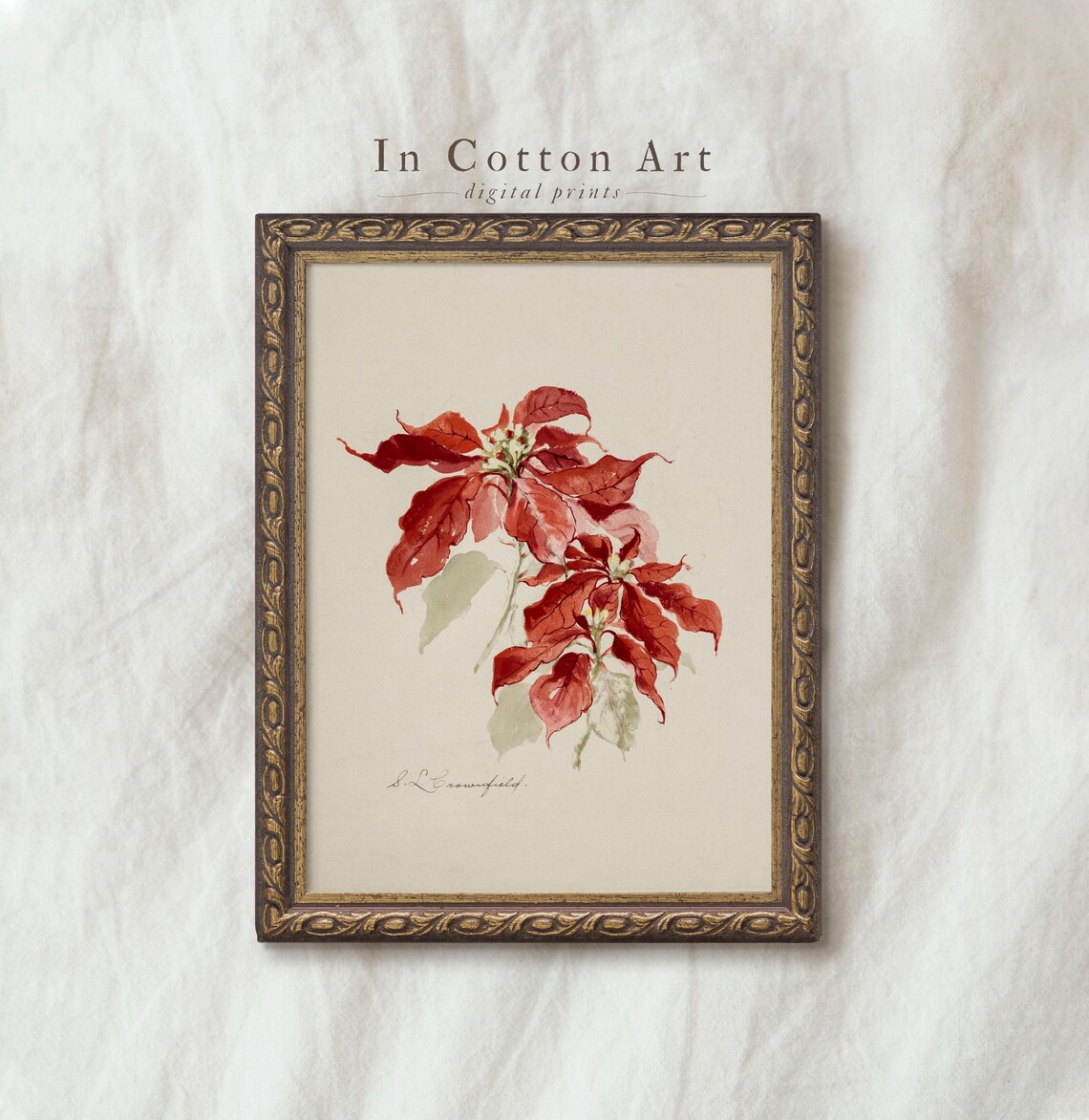 Watercolor Christmas Floral Botanical Art Print