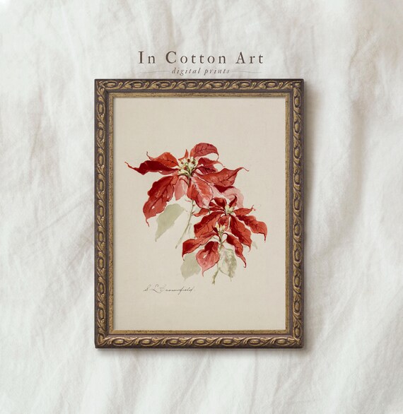 Watercolor Christmas Floral Botanical Art Print