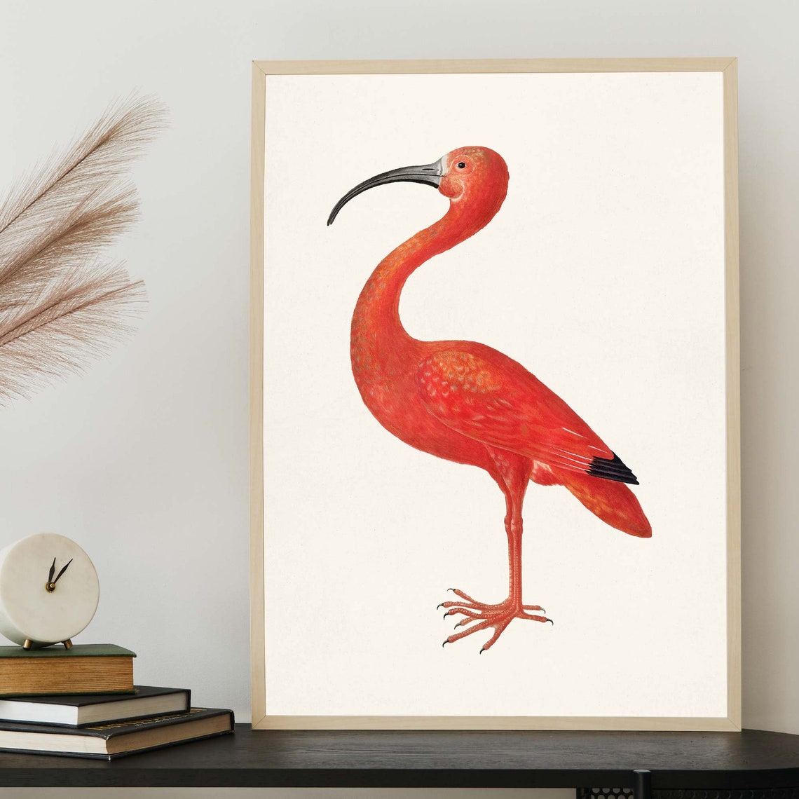 Vintage Scarlet Ibis Bird Illustration Red Tropical Bird Art Poster - Image 2