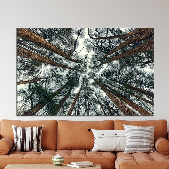 Forest View Canvas Art Farmhouse Tree Decor