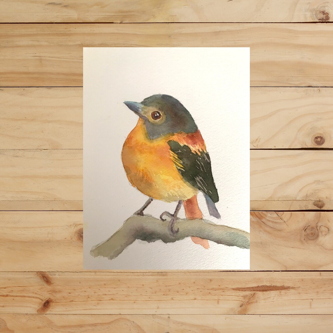 Chubby Little Bird With Orange Breast Watercolor Bird Poster - Image 3