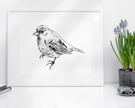 Black And White Poster Nordic Art Print Modern Nursery Print Unique Art Prints Nursery Prints Animal Black White Sketch Bird Sparrow