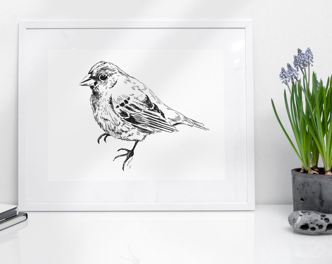 Songbird Ink Sketch Black White Small Bird Portrait Line Print