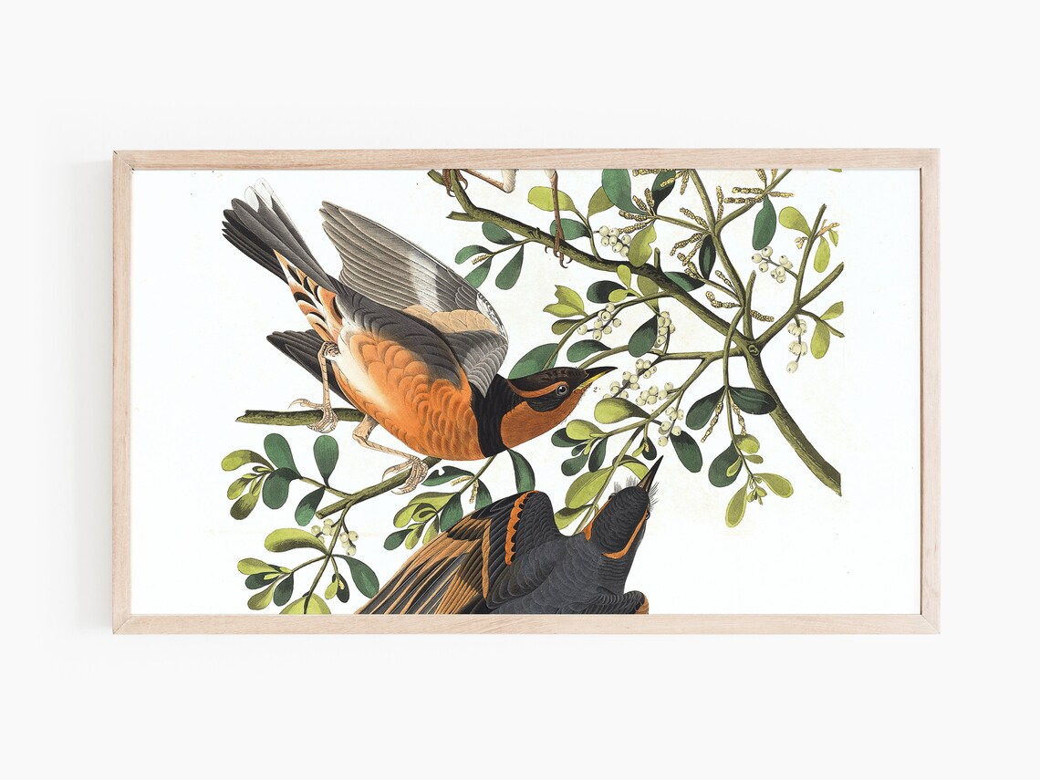 Spring Bird Illustration, Seasonal Wall Art Print - Image 3