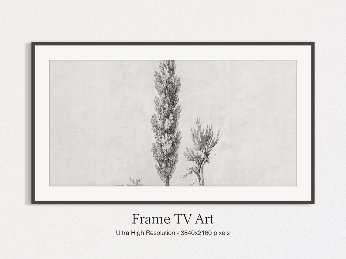 Minimalist Antique Tree Sketch, Landscape Art Print - Image 4
