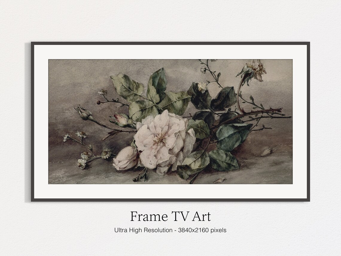 Moody Vintage Pink Roses Branch On Soft Grey Still Life Print